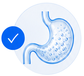 Digestive wellness icon